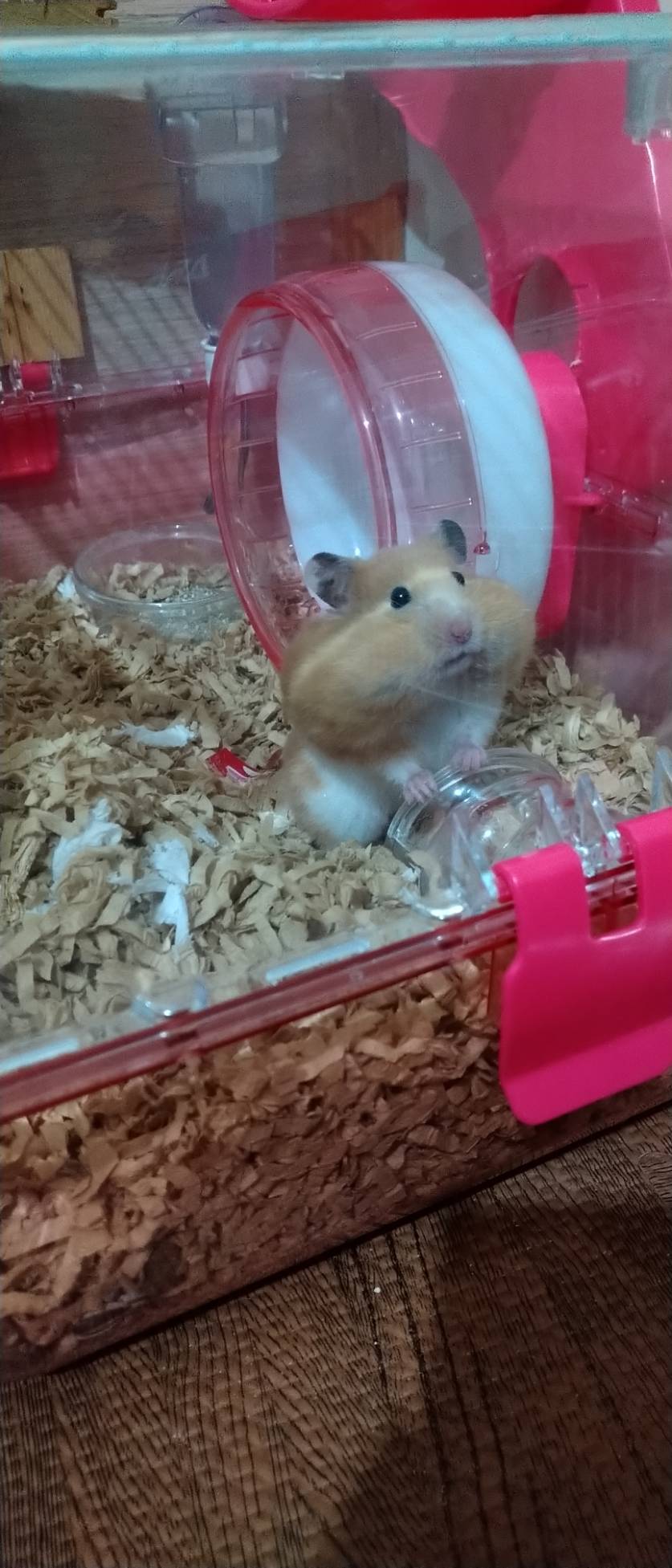 유저 프로필 이미지