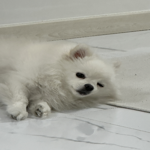 유저 프로필 이미지