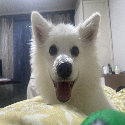 유저 프로필 이미지