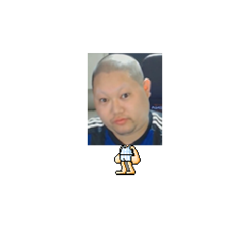 造型