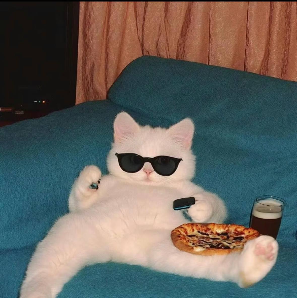 유저 프로필 이미지