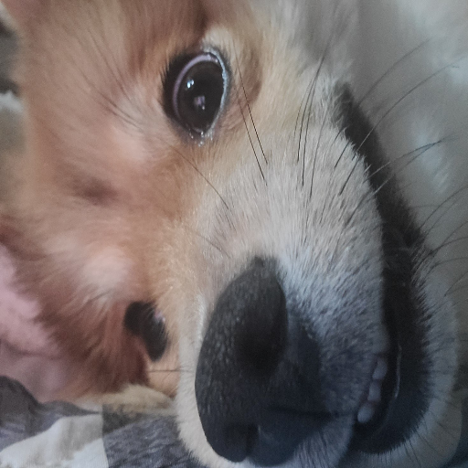 유저 프로필 이미지