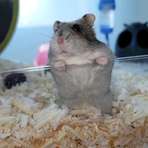 유저 프로필 이미지