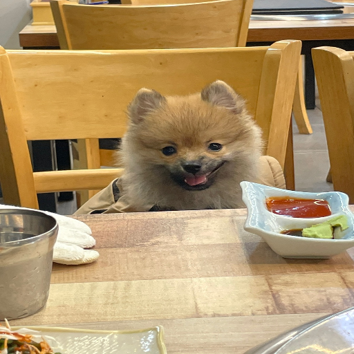 유저 프로필 이미지