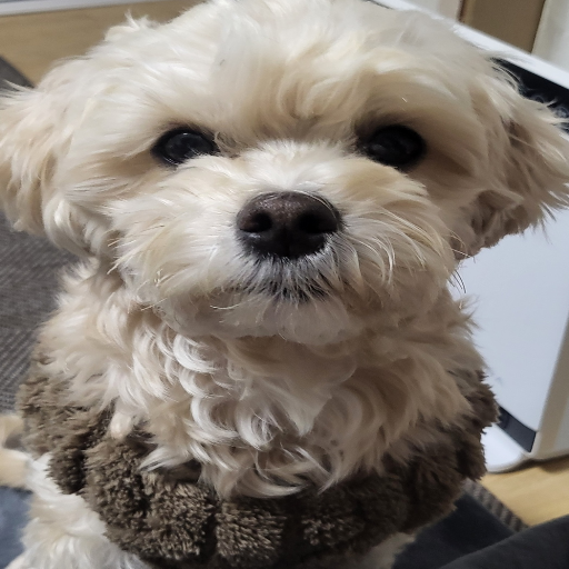 유저 프로필 이미지