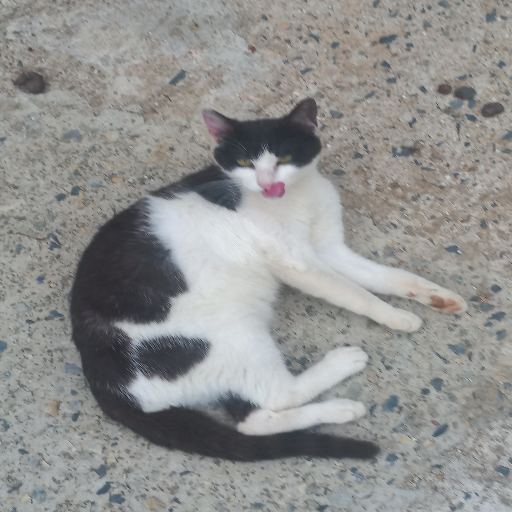 유저 프로필 이미지