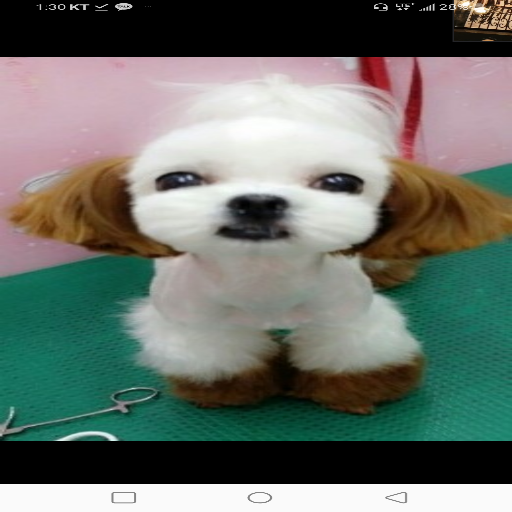 玩家個人簡介圖片