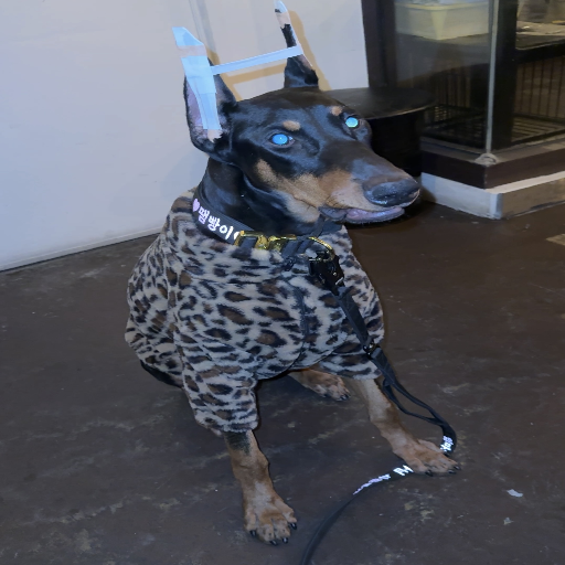 유저 프로필 이미지