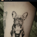 Imagen de perfil