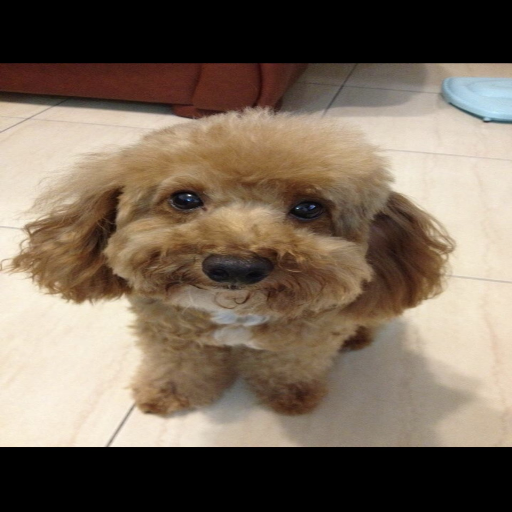 유저 프로필 이미지