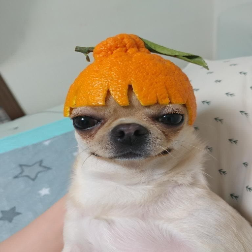 유저 프로필 이미지