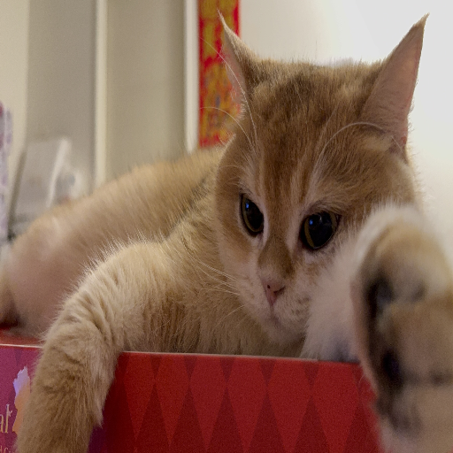 유저 프로필 이미지