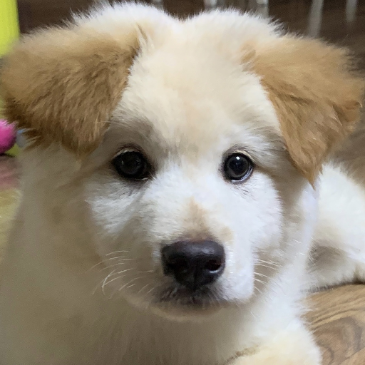 유저 프로필 이미지