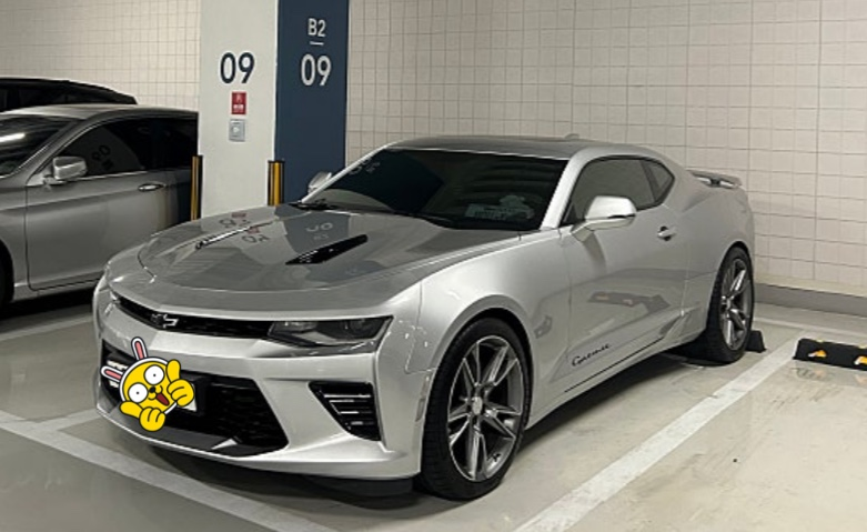 유저 프로필 이미지