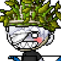 Imagen de perfil