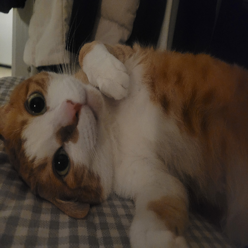 유저 프로필 이미지