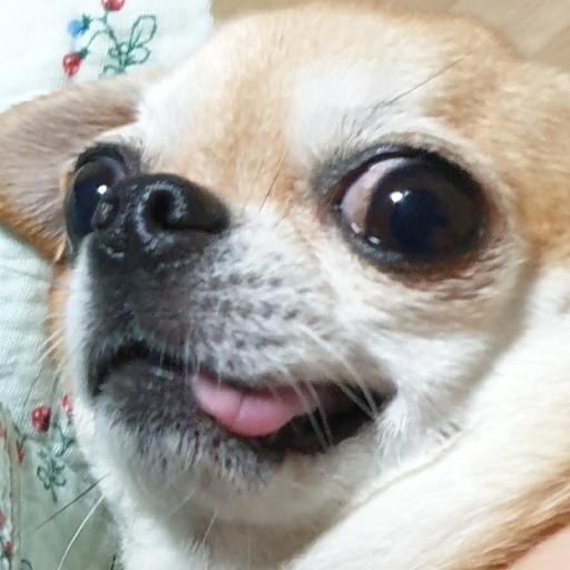 유저 프로필 이미지