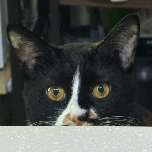 유저 프로필 이미지