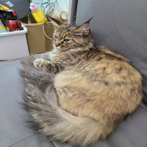 유저 프로필 이미지