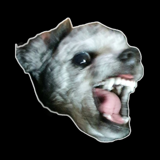 유저 프로필 이미지