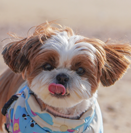 유저 프로필 이미지