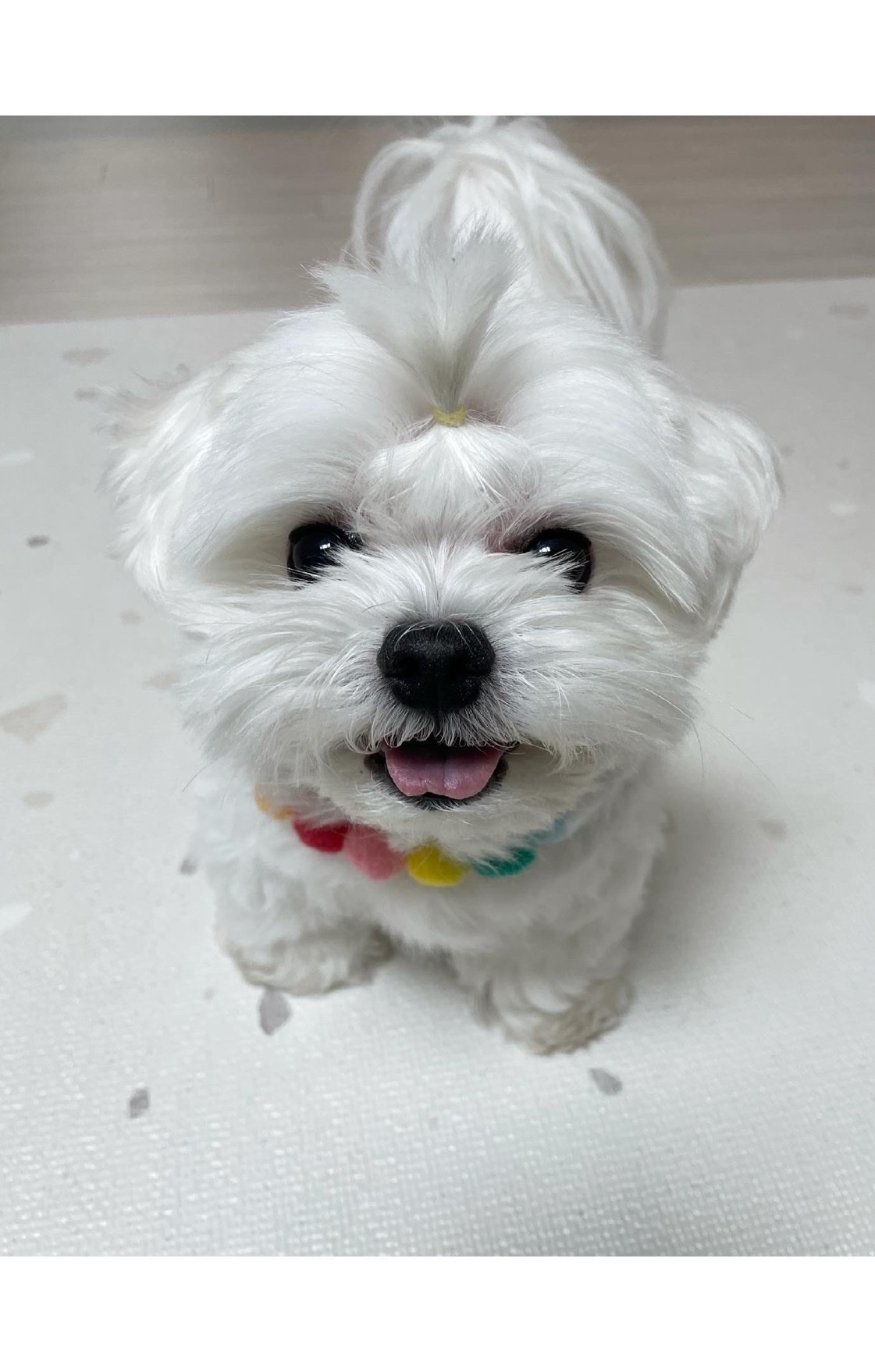 유저 프로필 이미지