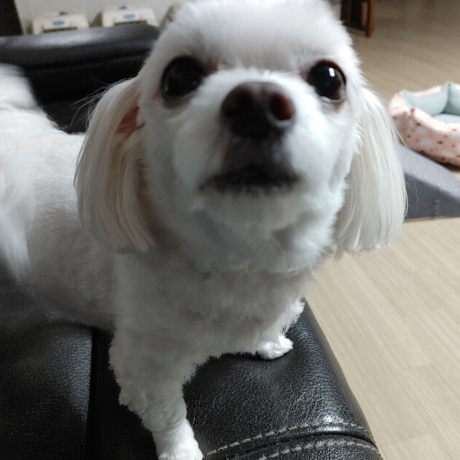 유저 프로필 이미지