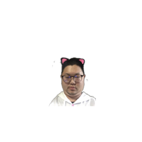 虚拟形象