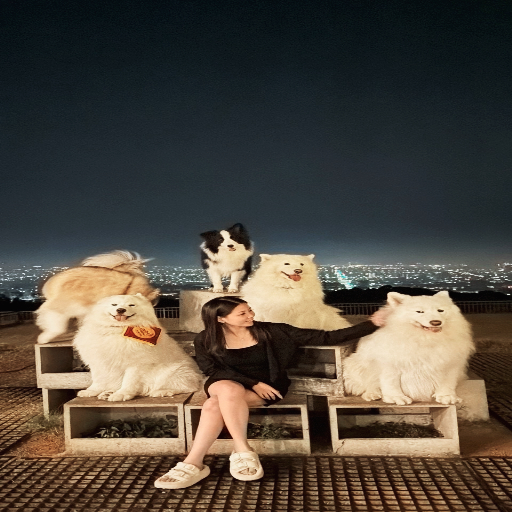 유저 프로필 이미지