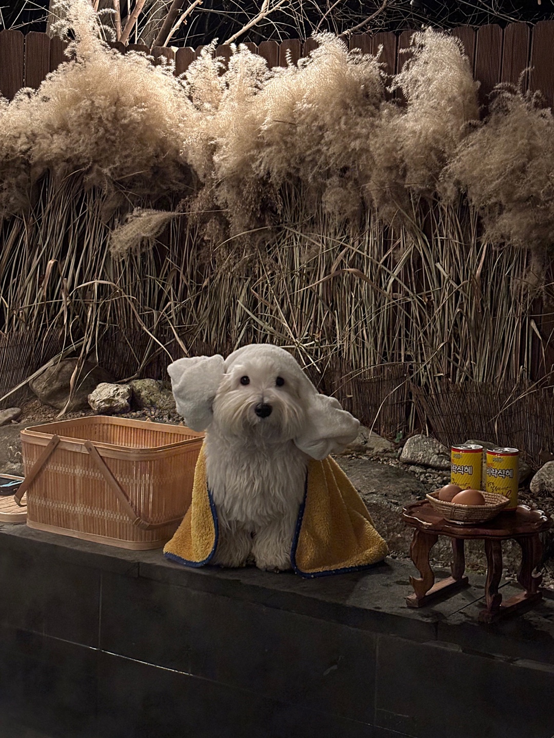 유저 프로필 이미지