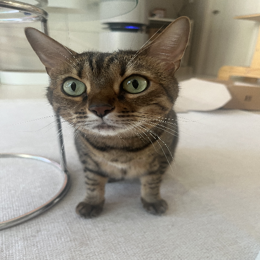 유저 프로필 이미지