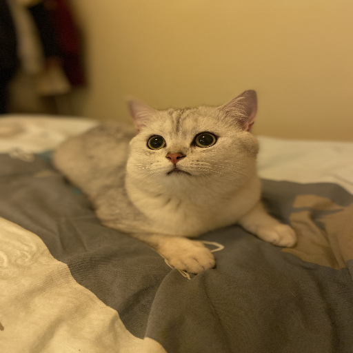 유저 프로필 이미지