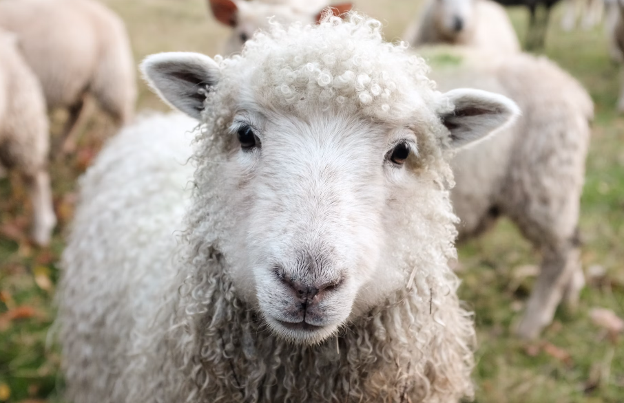 유저 프로필 이미지