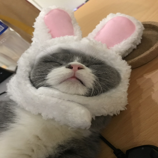유저 프로필 이미지