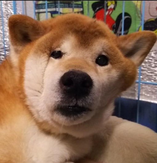 유저 프로필 이미지