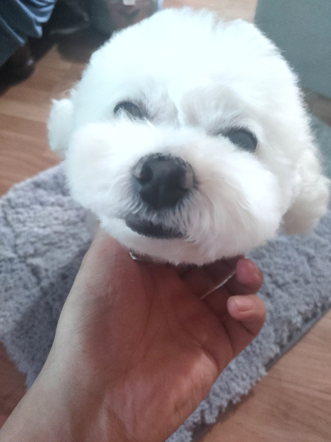 유저 프로필 이미지