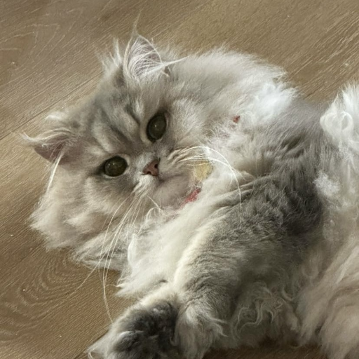 유저 프로필 이미지