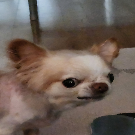 유저 프로필 이미지