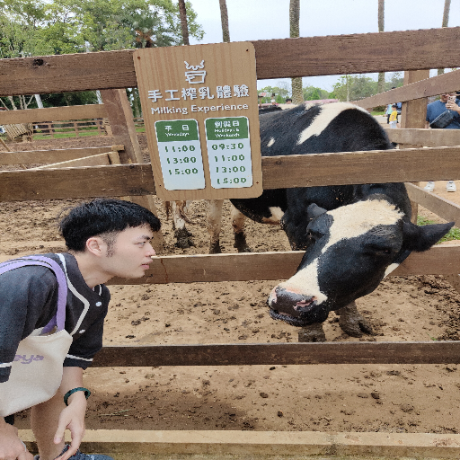 유저 프로필 이미지