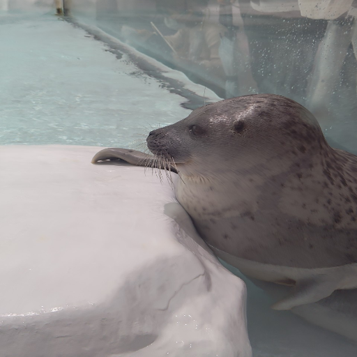 유저 프로필 이미지