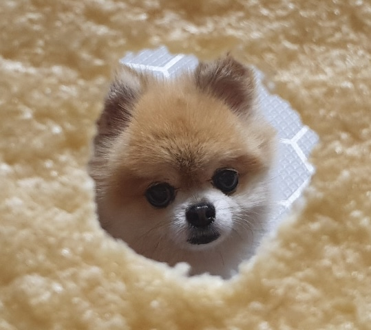 유저 프로필 이미지