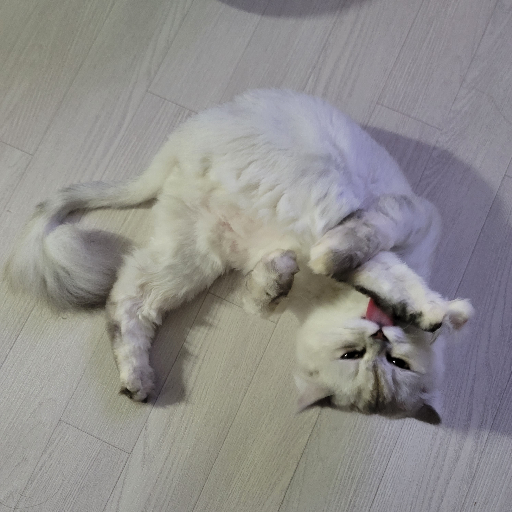 유저 프로필 이미지