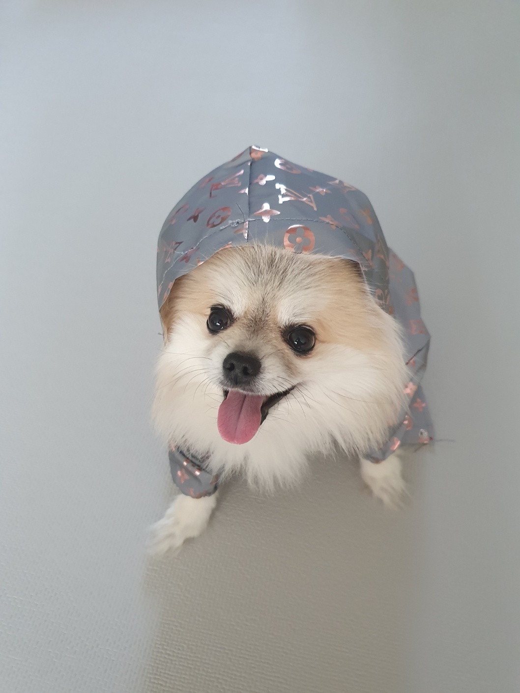 유저 프로필 이미지