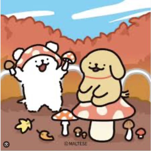 유저 프로필 이미지