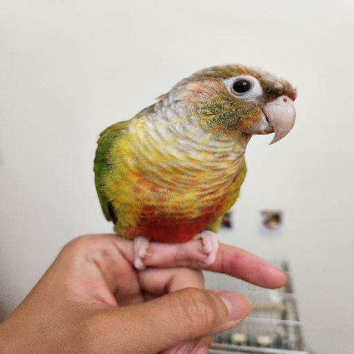 유저 프로필 이미지