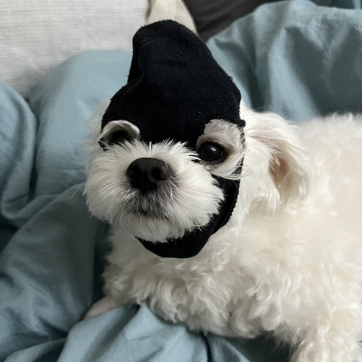 유저 프로필 이미지