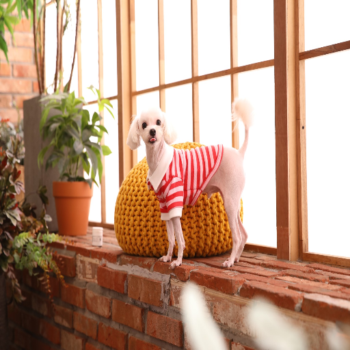 유저 프로필 이미지