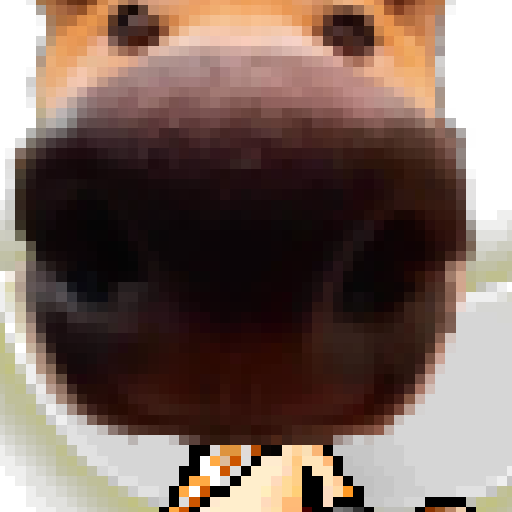 Imagen de perfil