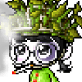Imagen de perfil