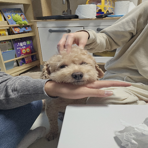 유저 프로필 이미지